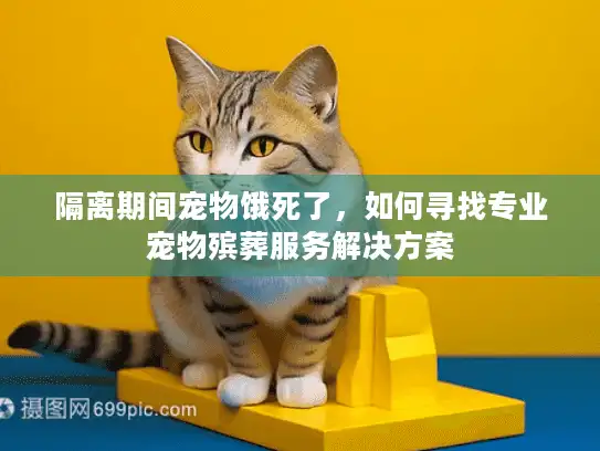 隔离期间宠物饿死了,如何寻找专业宠物殡葬服务解决方案 隔离期间宠物饿死了,如何寻找专业宠物殡葬服务解决方案