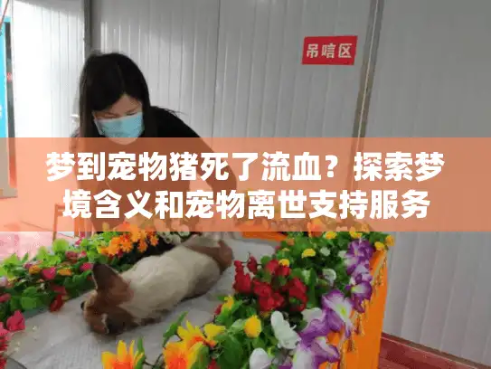 梦到宠物猪死了流血?探索梦境含义和宠物离世支持服务 梦到宠物猪死了流血?探索梦境含义和宠物离世支持服务