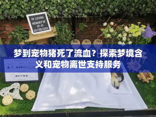 梦到宠物猪死了流血?探索梦境含义和宠物离世支持服务 梦到宠物猪死了流血?探索梦境含义和宠物离世支持服务