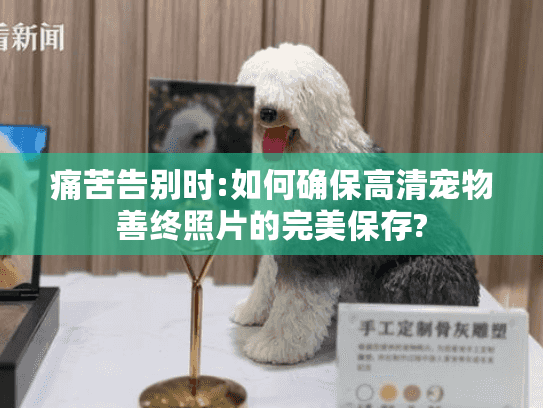 痛苦告别时:如何确保高清宠物善终照片的完美保存?
