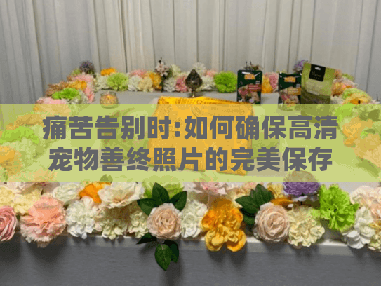 痛苦告别时:如何确保高清宠物善终照片的完美保存?