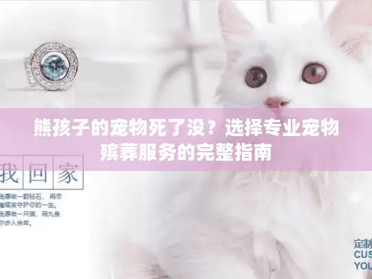 熊孩子的宠物死了没？选择专业宠物殡葬服务的完整指南