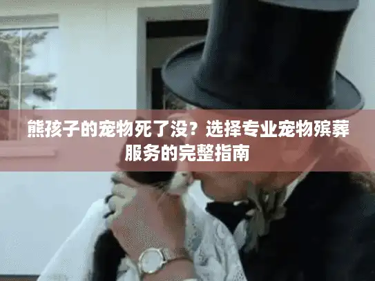 熊孩子的宠物死了没？选择专业宠物殡葬服务的完整指南