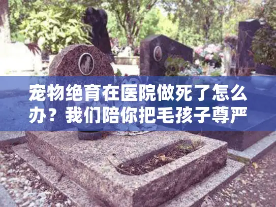 宠物绝育在医院做死了怎么办?我们陪你把毛孩子尊严接回家 宠物绝育在医院做死了怎么办?我们陪你把毛孩子尊严接回家