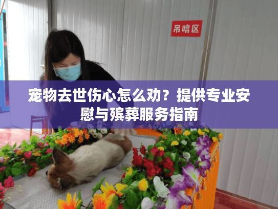 宠物去世伤心怎么劝？提供专业安慰与殡葬服务指南