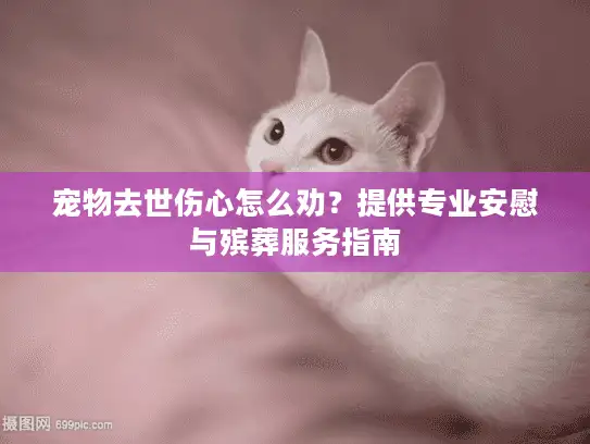 宠物去世伤心怎么劝？提供专业安慰与殡葬服务指南