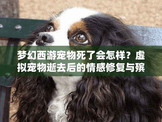 梦幻西游宠物死了会怎样？虚拟宠物逝去后的情感修复与殡葬服务指南