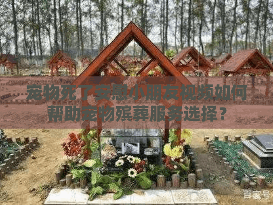 宠物死了安慰小朋友视频如何帮助宠物殡葬服务选择？