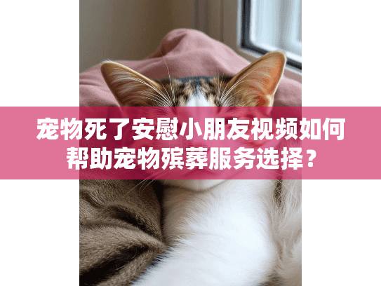 宠物死了安慰小朋友视频如何帮助宠物殡葬服务选择？