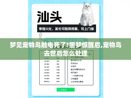 梦见宠物鸟触电死了?噩梦惊醒后,宠物鸟去世后怎么处理 梦见宠物鸟触电死了?噩梦惊醒后,宠物鸟去世后怎么处理