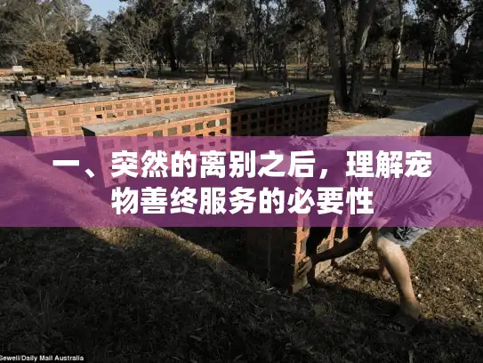 一、突然的离别之后，理解宠物善终服务的必要性