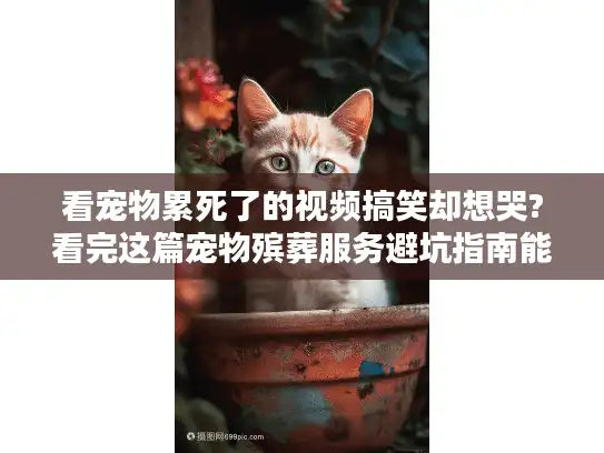 看宠物累死了的视频搞笑却想哭?看完这篇宠物殡葬服务避坑指南能救你