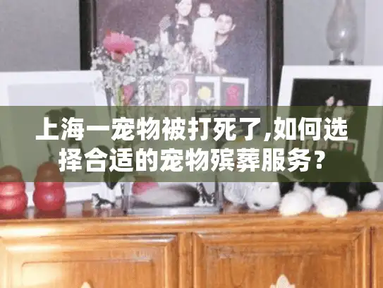 上海一宠物被打死了,如何选择合适的宠物殡葬服务? 上海一宠物被打死了,如何选择合适的宠物殡葬服务?