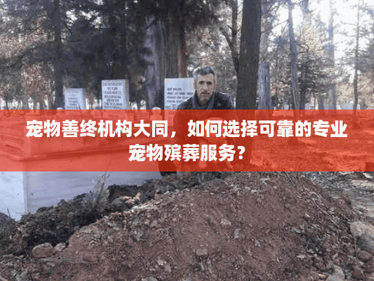 宠物善终机构大同,如何选择可靠的专业宠物殡葬服务? 宠物善终机构大同,如何选择可靠的专业宠物殡葬服务?