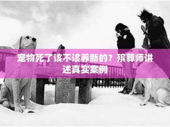 宠物死了该不该养新的？殡葬师讲述真实案例