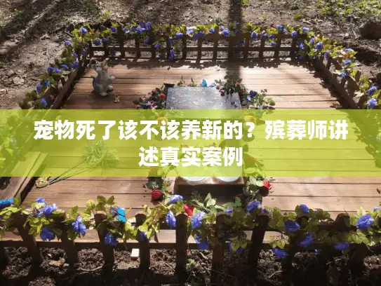 宠物死了该不该养新的？殡葬师讲述真实案例