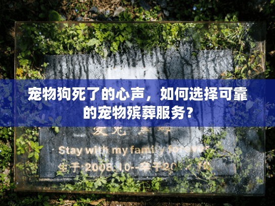 宠物狗死了的心声，如何选择可靠的宠物殡葬服务？