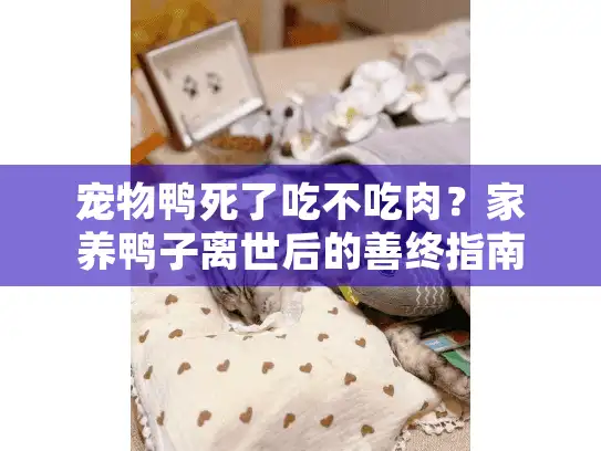 宠物鸭死了吃不吃肉？家养鸭子离世后的善终指南