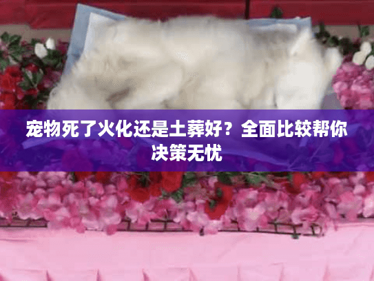 宠物死了火化还是土葬好?全面比较帮你决策无忧 宠物死了火化还是土葬好?全面比较帮你决策无忧