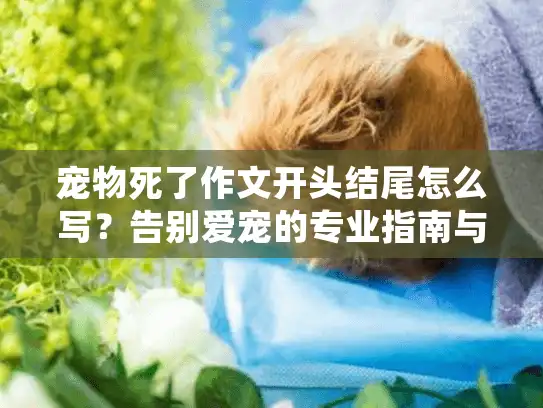 宠物死了作文开头结尾怎么写？告别爱宠的专业指南与服务选择