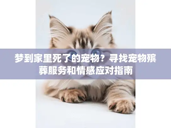 梦到家里死了的宠物？寻找宠物殡葬服务和情感应对指南