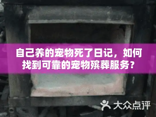 自己养的宠物死了日记,如何找到可靠的宠物殡葬服务? 自己养的宠物死了日记,如何找到可靠的宠物殡葬服务?