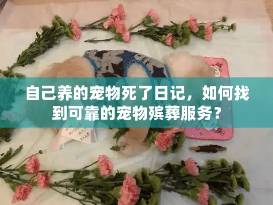 自己养的宠物死了日记,如何找到可靠的宠物殡葬服务? 自己养的宠物死了日记,如何找到可靠的宠物殡葬服务?