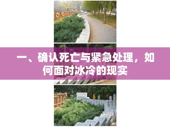 一、确认死亡与紧急处理,如何面对冰冷的现实 一、确认死亡与紧急处理,如何面对冰冷的现实