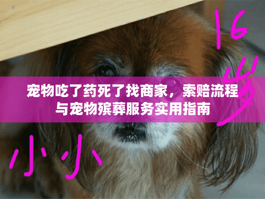 宠物吃了药死了找商家,索赔流程与宠物殡葬服务实用指南 宠物吃了药死了找商家,索赔流程与宠物殡葬服务实用指南