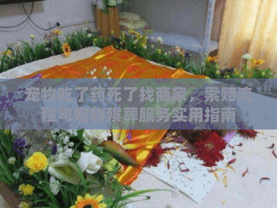 宠物吃了药死了找商家,索赔流程与宠物殡葬服务实用指南 宠物吃了药死了找商家,索赔流程与宠物殡葬服务实用指南