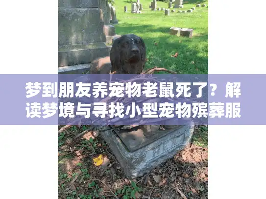 梦到朋友养宠物老鼠死了？解读梦境与寻找小型宠物殡葬服务指南