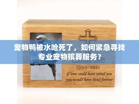 宠物鸭被水呛死了,如何紧急寻找专业宠物殡葬服务? 宠物鸭被水呛死了,如何紧急寻找专业宠物殡葬服务?
