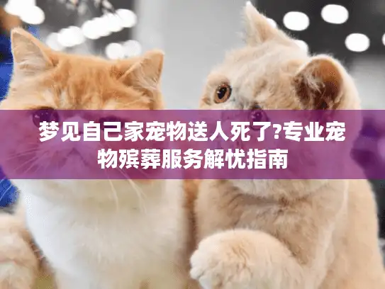 梦见自己家宠物送人死了?专业宠物殡葬服务解忧指南