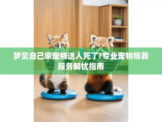 梦见自己家宠物送人死了?专业宠物殡葬服务解忧指南