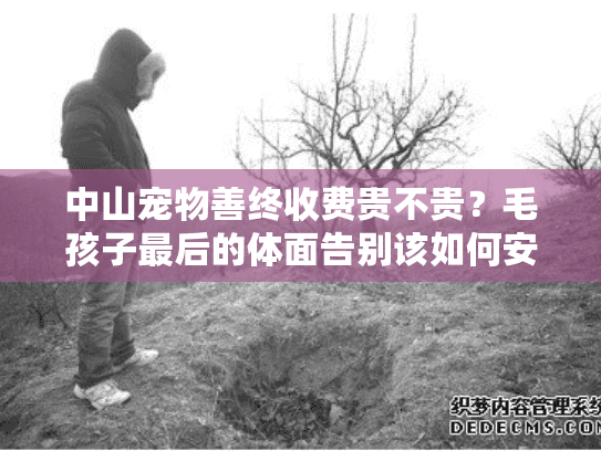 中山宠物善终收费贵不贵?毛孩子最后的体面告别该如何安排 中山宠物善终收费贵不贵?毛孩子最后的体面告别该如何安排