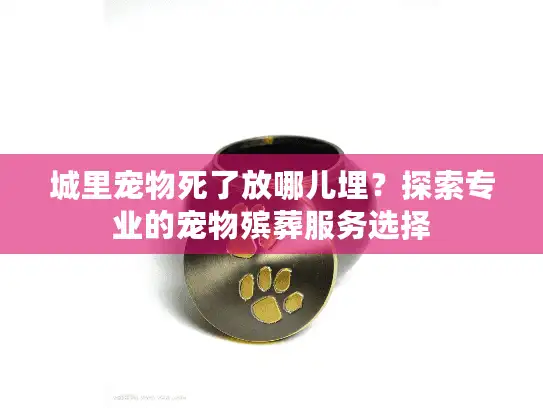 城里宠物死了放哪儿埋？探索专业的宠物殡葬服务选择
