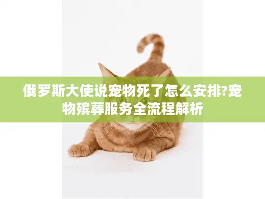 俄罗斯大使说宠物死了怎么安排?宠物殡葬服务全流程解析 俄罗斯大使说宠物死了怎么安排?宠物殡葬服务全流程解析