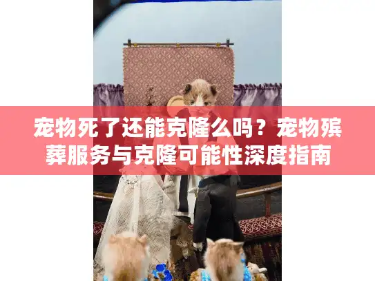 宠物死了还能克隆么吗？宠物殡葬服务与克隆可能性深度指南