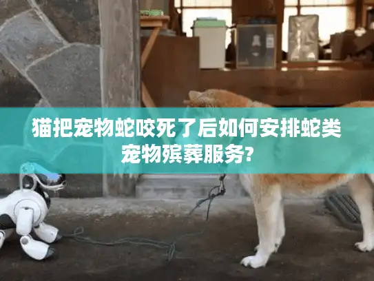 猫把宠物蛇咬死了后如何安排蛇类宠物殡葬服务? 猫把宠物蛇咬死了后如何安排蛇类宠物殡葬服务?