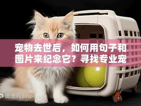 宠物去世后，如何用句子和图片来纪念它？寻找专业宠物殡葬服务指南