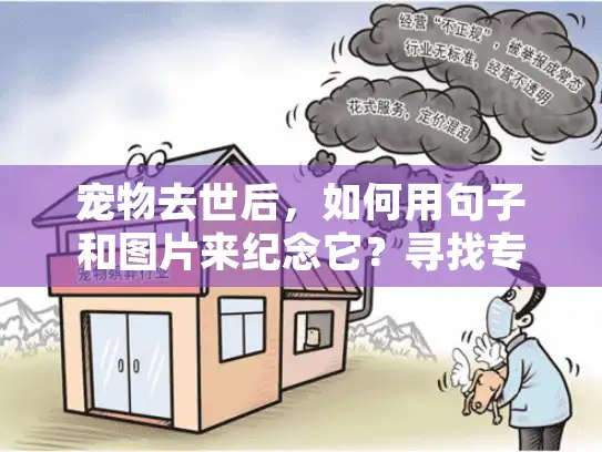 宠物去世后，如何用句子和图片来纪念它？寻找专业宠物殡葬服务指南
