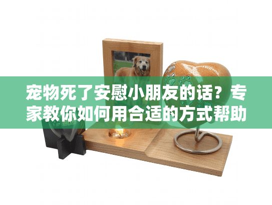 宠物死了安慰小朋友的话?专家教你如何用合适的方式帮助孩子走出悲伤 宠物死了安慰小朋友的话?专家教你如何用合适的方式帮助孩子走出悲伤
