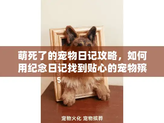 萌死了的宠物日记攻略，如何用纪念日记找到贴心的宠物殡葬服务？