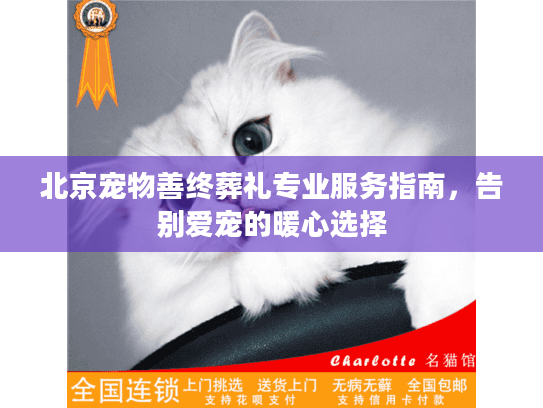 北京宠物善终葬礼专业服务指南，告别爱宠的暖心选择