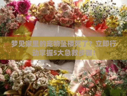 梦见家里的宠物坠楼死了？立即行动掌握5大急救步骤！
