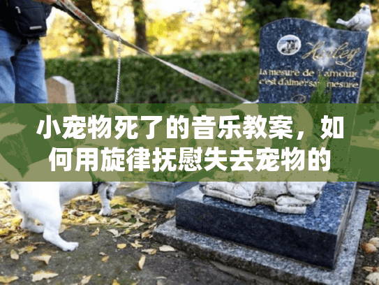 小宠物死了的音乐教案,如何用旋律抚慰失去宠物的伤痛 小宠物死了的音乐教案,如何用旋律抚慰失去宠物的伤痛