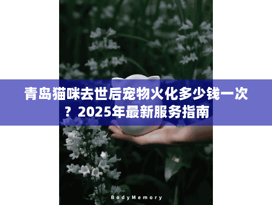 青岛猫咪去世后宠物火化多少钱一次？2025年最新服务指南