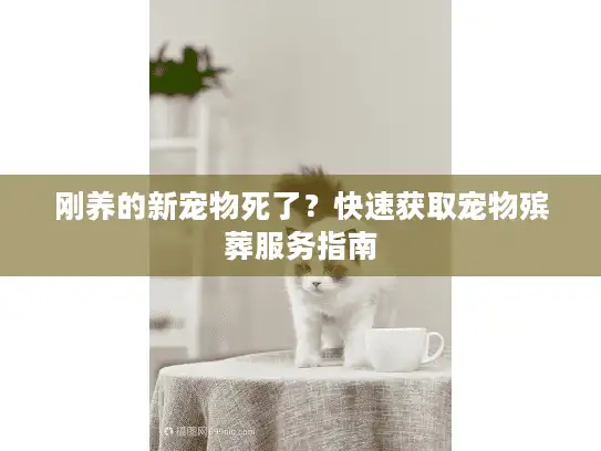 刚养的新宠物死了？快速获取宠物殡葬服务指南