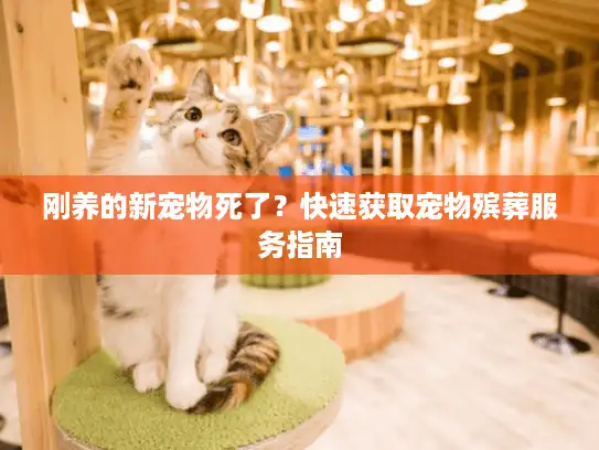 刚养的新宠物死了？快速获取宠物殡葬服务指南