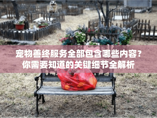 宠物善终服务全部包含哪些内容？你需要知道的关键细节全解析